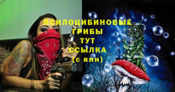мяу мяу мука Абдулино