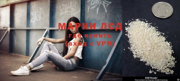 прущий лед Магас