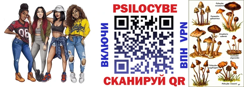 Галлюциногенные грибы Psilocybine cubensis  Цоци-Юрт 